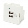 Hyperline M45-USBCH2-WH Модуль розетки USB для зарядки, 2 порта, 2М, 4.2А, 5В, 45x45мм, белый Hyperline M45-USBCH2-WH Модуль розетки USB для зарядки, 2 порта, 2М, 4.2А, 5В, 45x45мм, белый