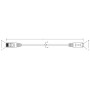 Hyperline PC-LPM-SFTP-RJ45-RJ45-C6-15M-LSZH-RD Патч-корд SF/UTP, экранированный, Cat.6 (100% Fluke Component Tested), LSZH, 15 м, красный Hyperline PC-LPM-SFTP-RJ45-RJ45-C6-15M-LSZH-RD Патч-корд SF/UTP, экранированный, Cat.6 (100% Fluke Component Tested), LSZH, 15 м, красный