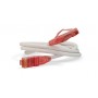 Hyperline PC-LPM-UTP-RJ45-RJ45-C5e-0.3M-LSZH-WH Патч-корд U/UTP, Cat.5е (100% Fluke Component Tested), LSZH, 0.3 м, белый Hyperline PC-LPM-UTP-RJ45-RJ45-C5e-0.3M-LSZH-WH Патч-корд U/UTP, Cat.5е (100% Fluke Component Tested), LSZH, 0.3 м, белый